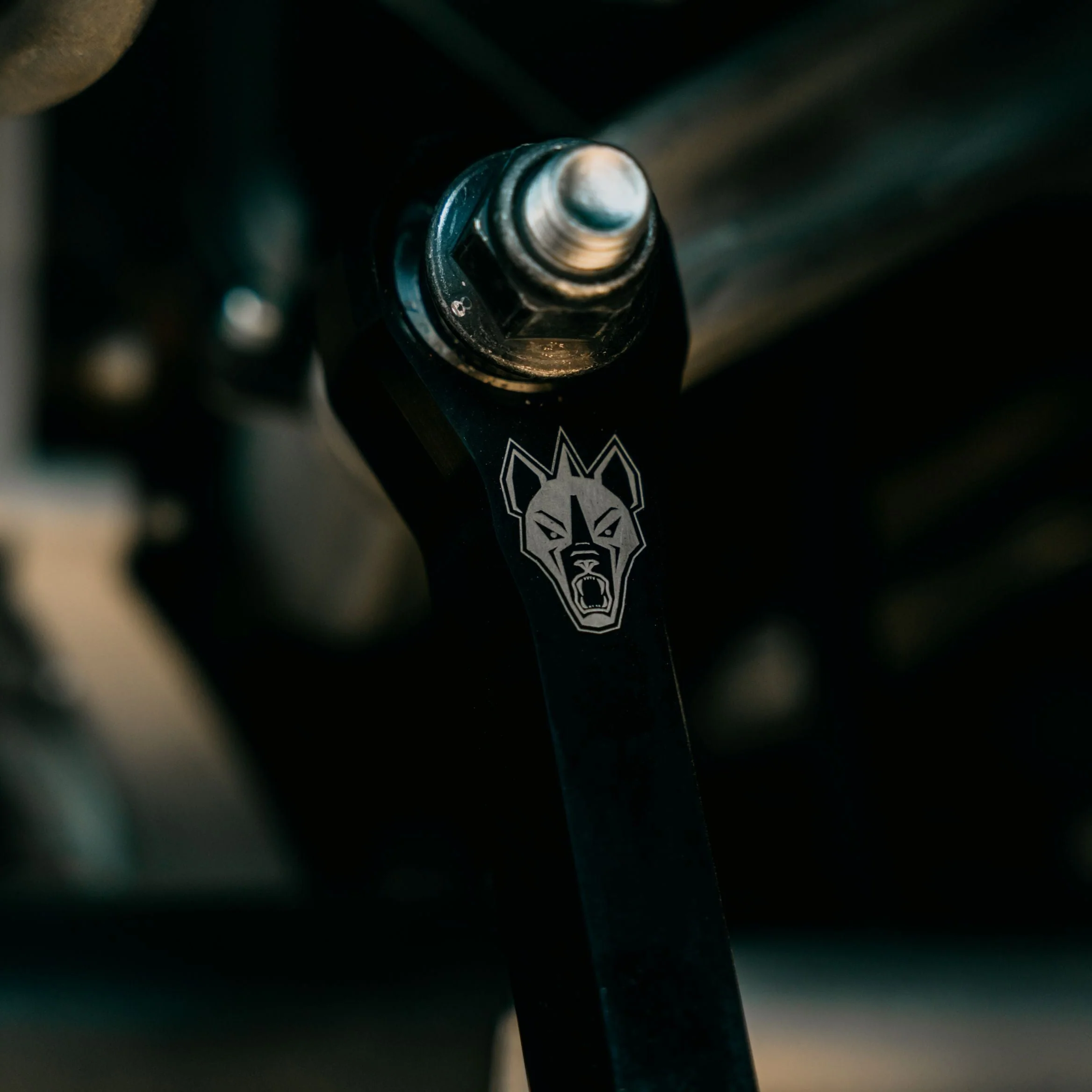 Pro R Sway Bar Links Rear - Image 5